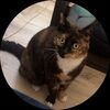 dubstepgirl88